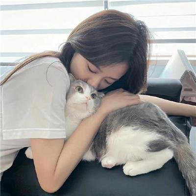 高卢英雄救公主
